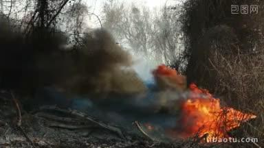 路边的野火烧毁了木头和汽车轮胎